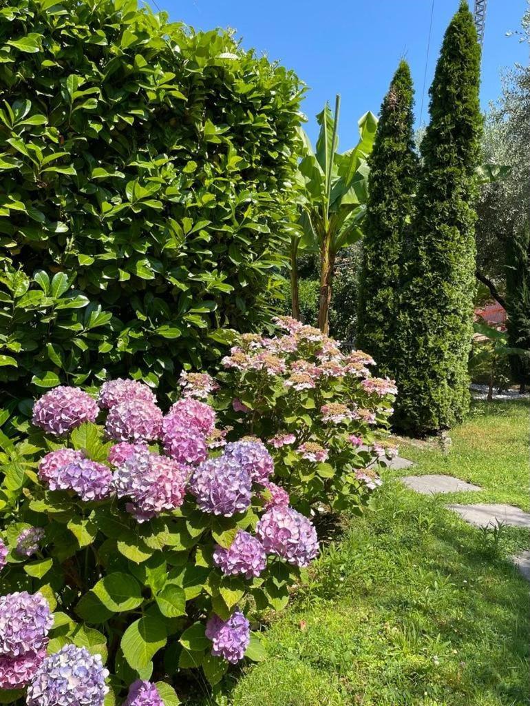 Appartamento La Perla Torri Del Benaco Buitenkant foto